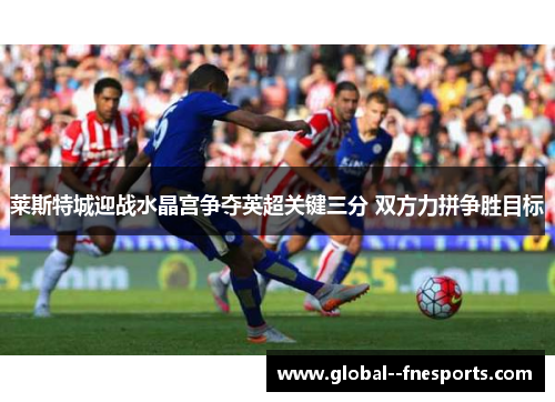 莱斯特城迎战水晶宫争夺英超关键三分 双方力拼争胜目标 莱斯特城迎战水晶宫争夺英超关键三分 双方力拼争胜目标